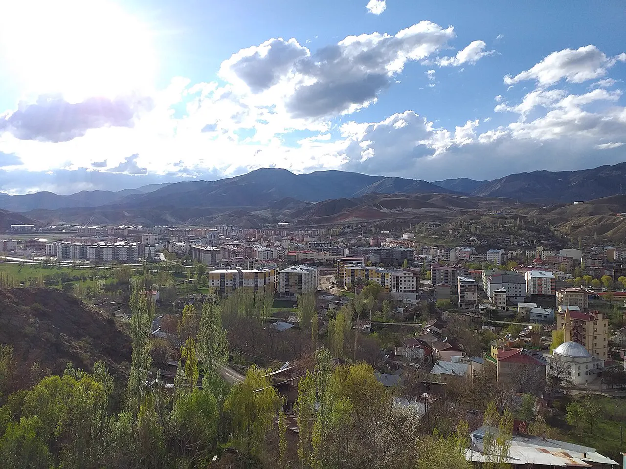 Oltu
