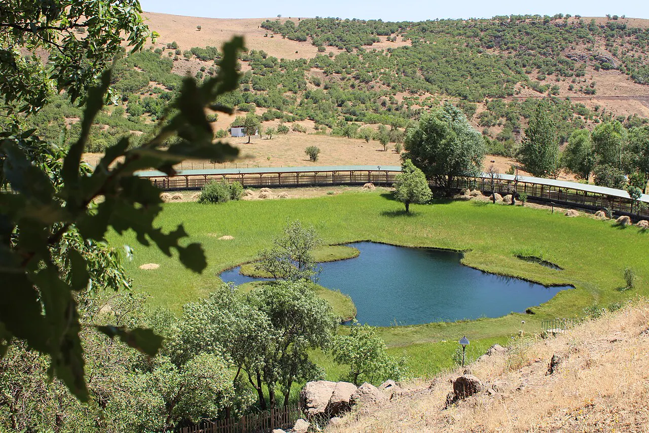 Yüzen Adalar